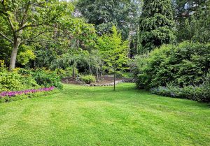 Optimiser l'expérience du jardin à Fougerolles-du-Plessis